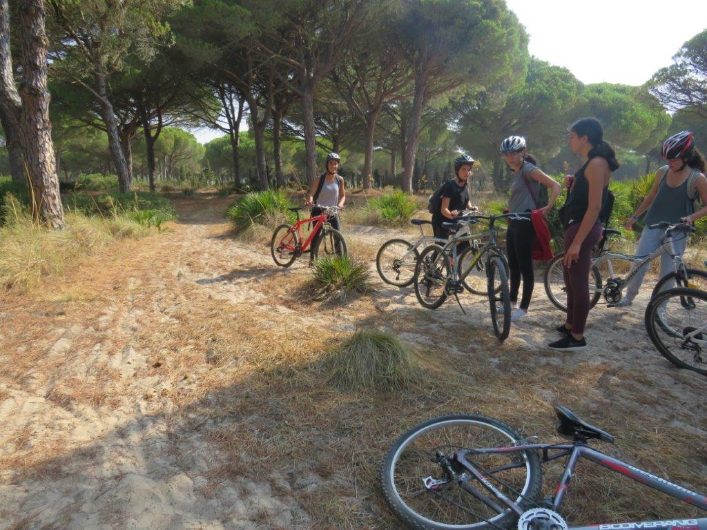 Village Camps International Summer Camp Chiclana, Spain 2017-07-28 https://www.villagecamps.com/journals_admin/images/1845-0758-file1 (78).jpg